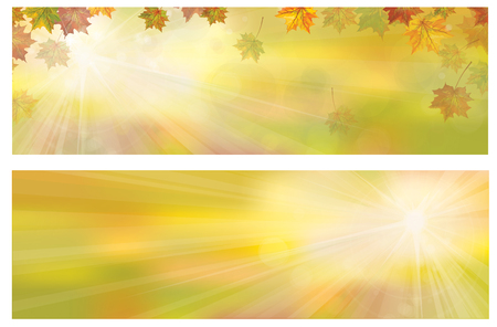 Vector autumnal leaves on bokeh banners.のイラスト素材