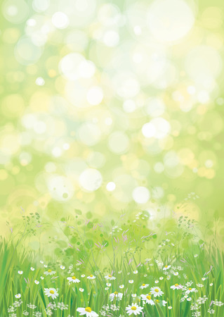 Vector summer nature   background.のイラスト素材