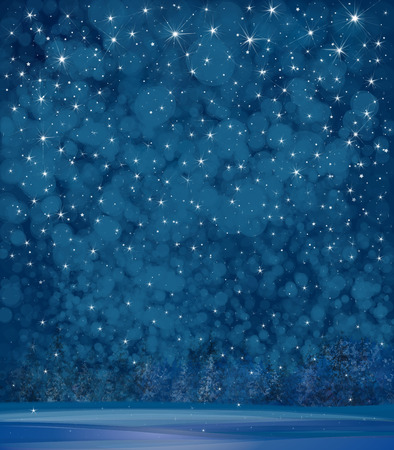 Vector winter night starry sky and  forest background.のイラスト素材