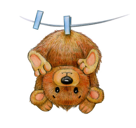 Cute hanging  baby bear  isolated, hand drawing.の写真素材