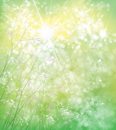 Vector summer,  green,  nature  background,  flowers  on bokeh green background.のイラスト素材
