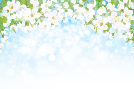 Vector blossoming branches of apple  tree, spring background.のイラスト素材