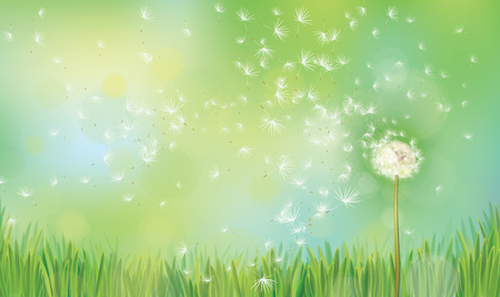 Vector spring  nature  background,  dandelion on green  bokeh background.のイラスト素材