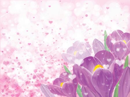 Vector spring  violet crocuse  flowers on pink bokeh  background. Greeting card.のイラスト素材