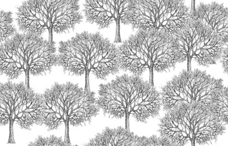 Tree silhouettes seamless pattern,  isolated on white,  handdrawing.の写真素材