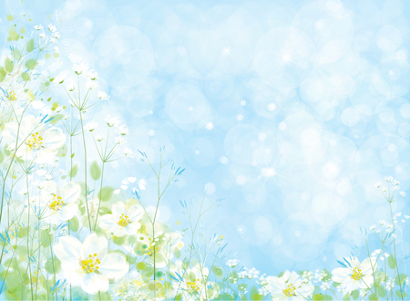 Vector beautiful floral background. White flowers and green plants on blue bokeh background.のイラスト素材