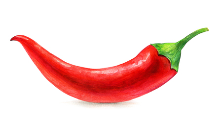 Red chili isolated on white, hand drawing.の写真素材