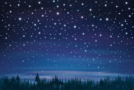 Illustration of a night with stars sky with a forestのイラスト素材