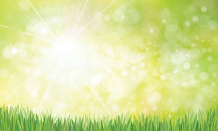 Vector summer, bokeh,  nature  background with green grass border.のイラスト素材