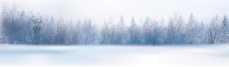Vector winter landscape with forest background.のイラスト素材