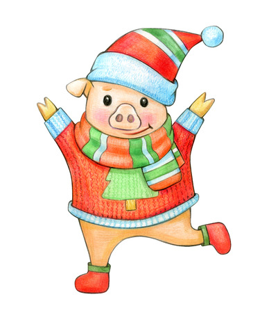 Funny dancing pig cartoon  in  Christmas costume,  isolated on white.の写真素材