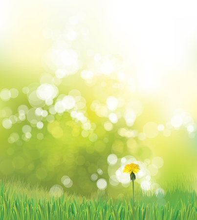 Vector  spring background with yellow dandelion.