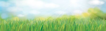 Vector summer,  nature background, blue sky and green grass.のイラスト素材