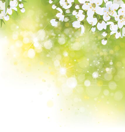 Vector floral, nature background. White flowers and leaves border on green bokeh background.のイラスト素材