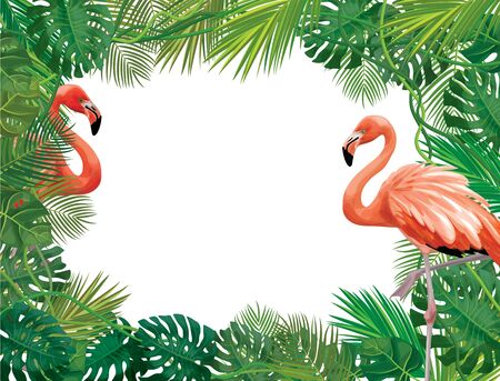 Vectot floral  frame,  tropical leaves  and flamingos isolated.のイラスト素材