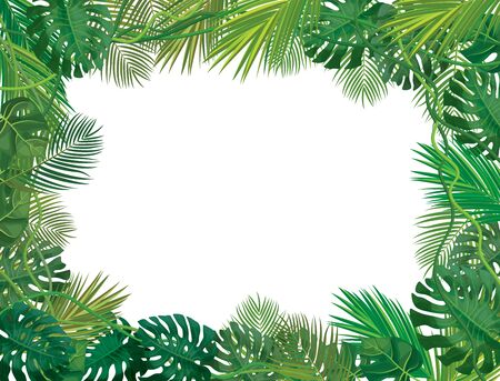 Vectot  frame,  tropical leaves isolated.のイラスト素材