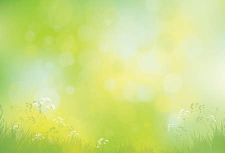 Vector green, bokeh, nature background.のイラスト素材