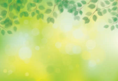 Vector green, bokeh, nature background. Green leaves border. Blurred effect.