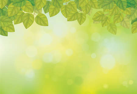 Vector green, bokeh, nature background. Green leaves border.のイラスト素材