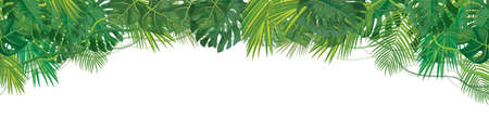 Vector green, tropical leaves border, isolated.のイラスト素材