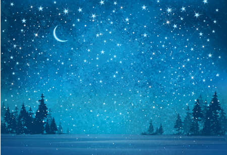 Vector winter wonderland night background.のイラスト素材