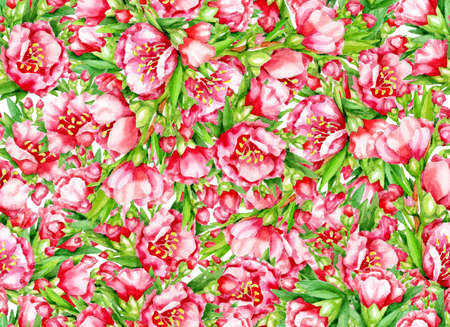 Seamless floral background, red flowers and green leaves. Watercolor hand drawn illustration.の写真素材