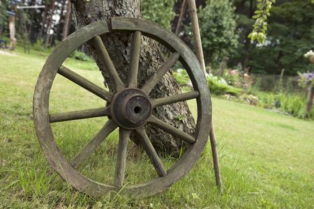 Ancient carriage wheel leaning against the treeの写真素材