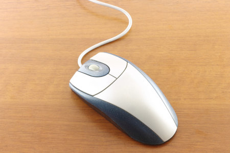 Computer mouse on the table