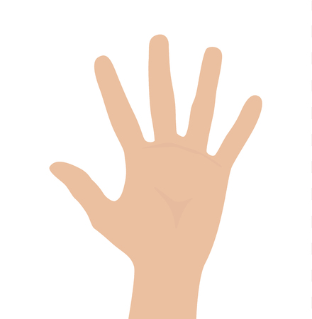 Woman hand on white background, flat design vector illustrationのイラスト素材