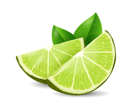 Lime fruit - exotic fruits collection, realistic design vector illustration close-upのイラスト素材