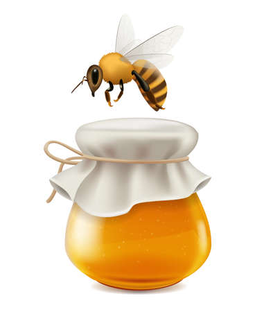 Big honey jar with bee on white background, realistic vector illustration close-upのイラスト素材