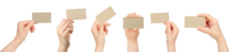 Set of Women Hands, which holding gray blank business card, isolated on a white background