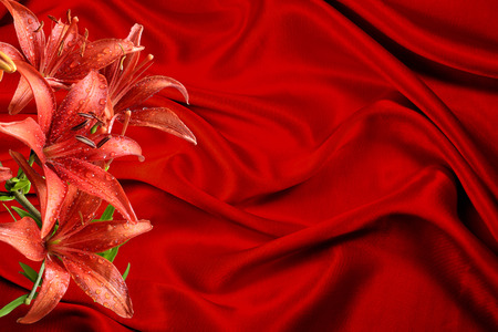 Red moist lily flowers  with dew drops on the petals on a background of cool silk gathered in the soft wavy foldsの写真素材