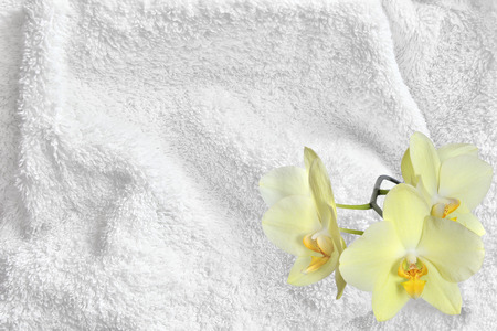 White Cotton Towel Terry Cloth Texture with Soft Folds and Yellow Orchid Flowersの写真素材