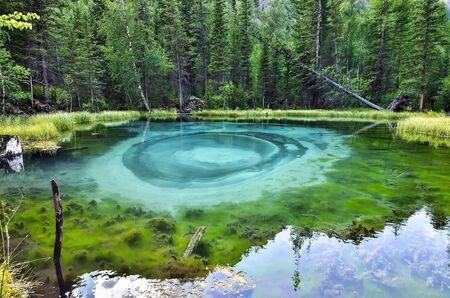 Amazing blue geyser lake in the mountains of Altai, Russia. Unique turquoise lake with crystal clear water and oval circular divorces, which all the time change because geyser lifts the blue clay from the bottomの写真素材