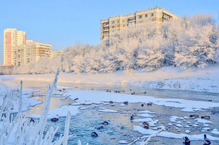Beautiful winter urban landscape in frozen snowy city with wild ducks in the river and trees on shore with white hoarftost covered, Novokuznetsk, Russiaの写真素材