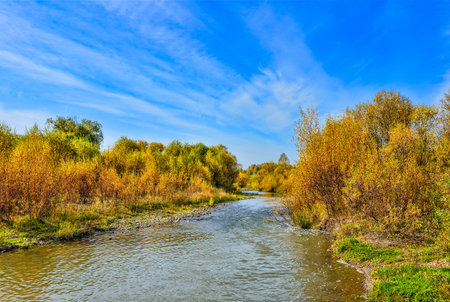 Idyllic bright multicolored  autumn landscape with little fast forest river, streaming between...