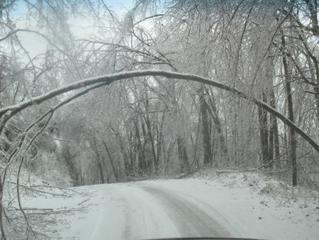 Cold Icey road with tree bowed overの写真素材