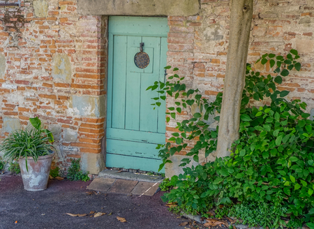 Old green door in a brick wall next some plantsのeditorial素材