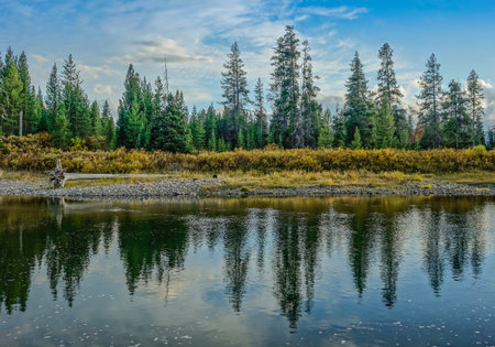 Grand Teton National Park, Wyoming, USA - September 18, 2015: Reflection of the trees on the lake with under a blue skyのeditorial素材