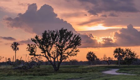 Flamingo Visitor Center, Everglades National Park, Florida, USA - July 14, 2018: A nice colorful sunrise in the Everglades national parkのeditorial素材