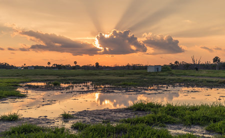 Flamingo Visitor Center, Everglades National Park, Florida, USA - July 14, 2018: Reflections in a pond at sunset near Flamingo Center in Florida's Everglades Parkのeditorial素材