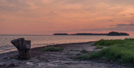 Flamingo Visitor Center, Everglades National Park, Florida, USA - July 14, 2018: View of a stump of a tree in a beautiful sunset in Everglades, Floridaのeditorial素材