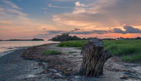 Flamingo Visitor Center, Everglades National Park, Florida, USA - July 14, 2018: View of a stump of a tree in a beautiful sunset in Everglades, Floridaのeditorial素材