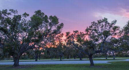 Flamingo Visitor Center, Everglades National Park, Florida, USA - July 14, 2018: Sunset in Everglades National Park in Florida with silhouettes of treeのeditorial素材