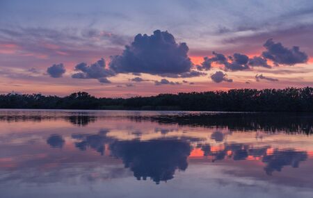 Paurotis Pond in Everglades National Park, Florida, USA - July 16, 2018: Sunset and reflections at Paurotis Pond in the Everglades National Park near Homestead, Floridaのeditorial素材