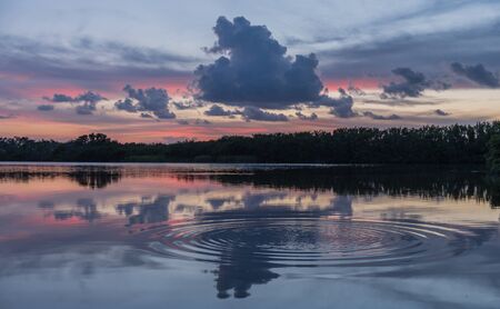 Paurotis Pond in Everglades National Park, Florida, USA - July 16, 2018: Sunset and reflections at Paurotis Pond in the Everglades National Park near Homestead, Floridaのeditorial素材