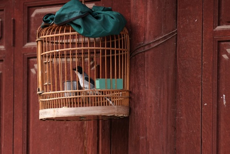 Wooden bird cage under green cloth cover with bird inside, hanging at a house s door in a street of the old town Weishan, Yunnan, China の写真素材