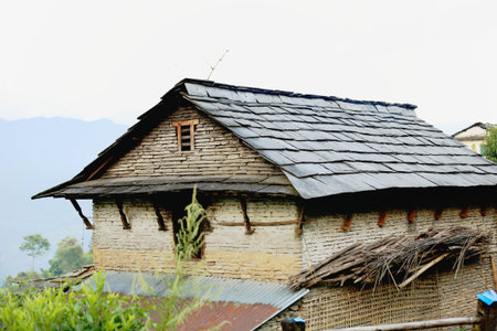 Slate roofed house with whitewashed stone walls-wooden roof struts-stakes piled  Sunset in Dhampus village on the Annapurnas Tour trekking route through the foothills of the Himalayas  Kaski district-Gandaki zone-Nepal の写真素材