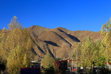 Tall trees in the early autumn and the mountains surrounding the lower area of the town. Gyantse city and county Shigatse prefecture Tibet.のeditorial素材